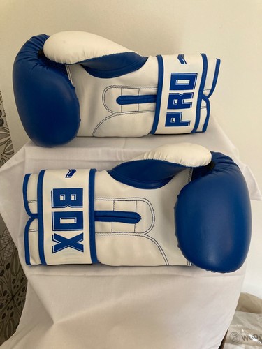 Pro box training boxing - boxing, gloves